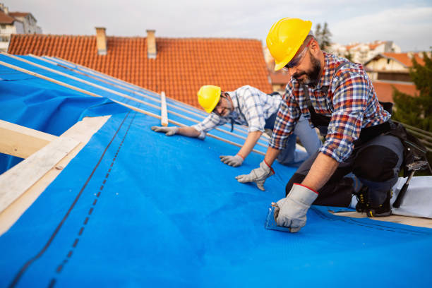 Professional Roofing service in Alakanuk, AK