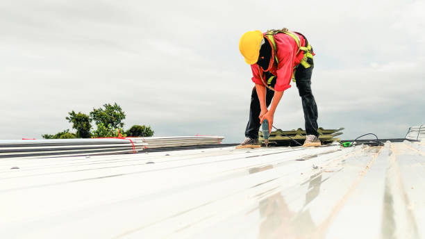 Best Roof Leak Repair  in Alanuk, AK